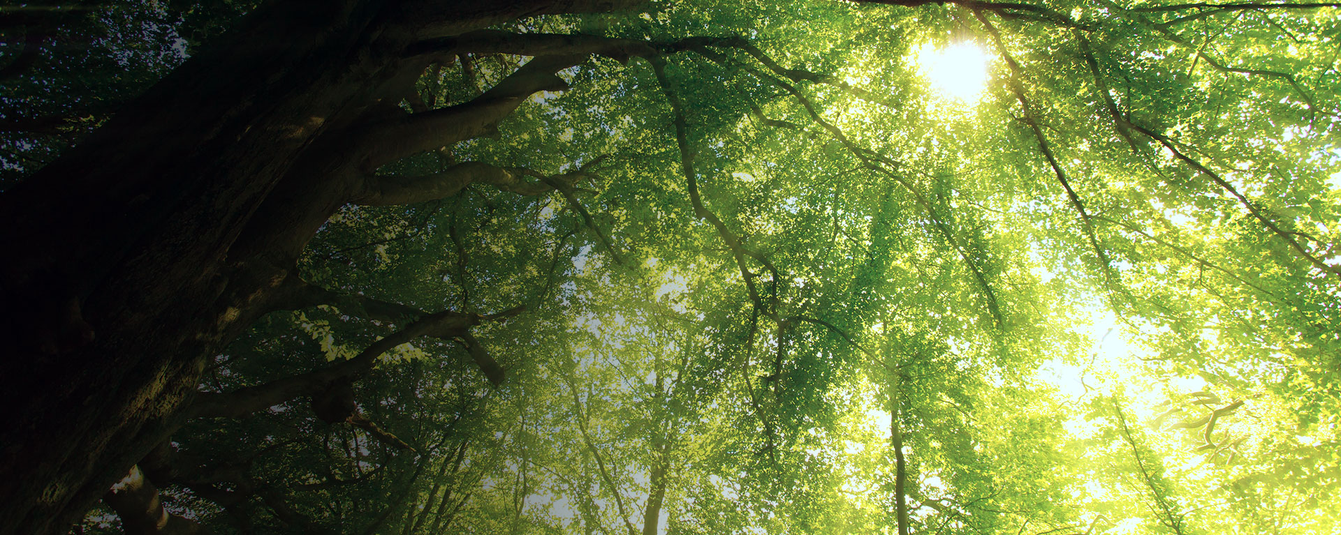 piel-die-technische-grosshandlung-teaser-nachhaltigkeit