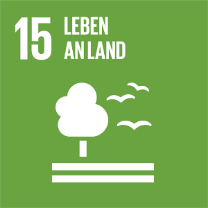 SDG 4 Hochwertige Bildung