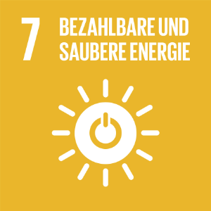 SDG 4 Hochwertige Bildung